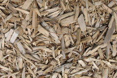 biomass boilers Bedburn